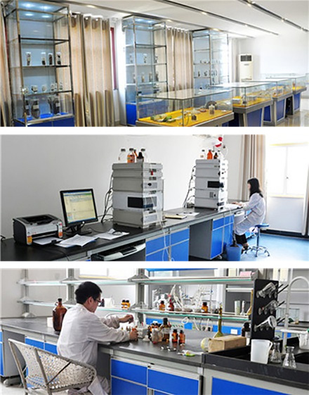 �������� �徲��һ